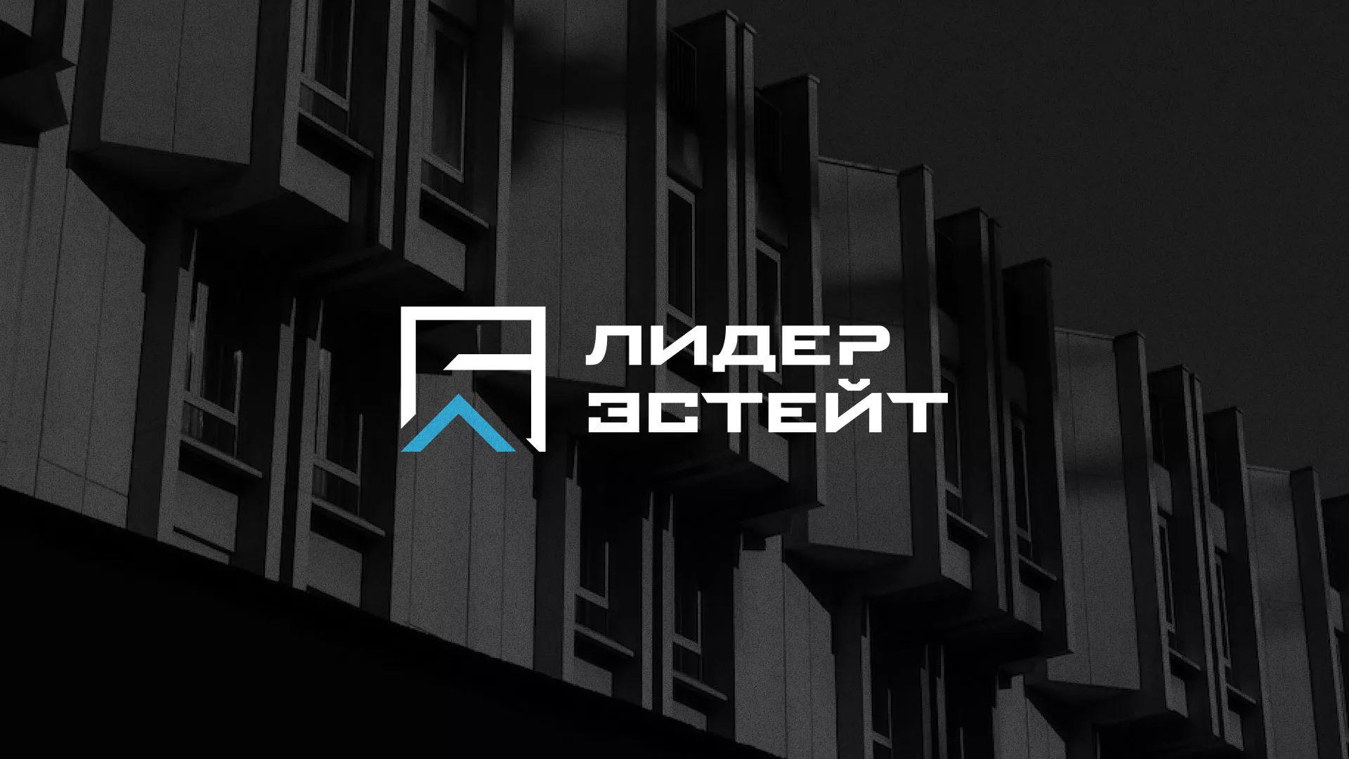 Разработка логотипа агентства недвижимости «Лидер Эстейт» в Киренске